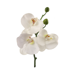 10" Phalaenopsis Orchid Pick - Larksilk