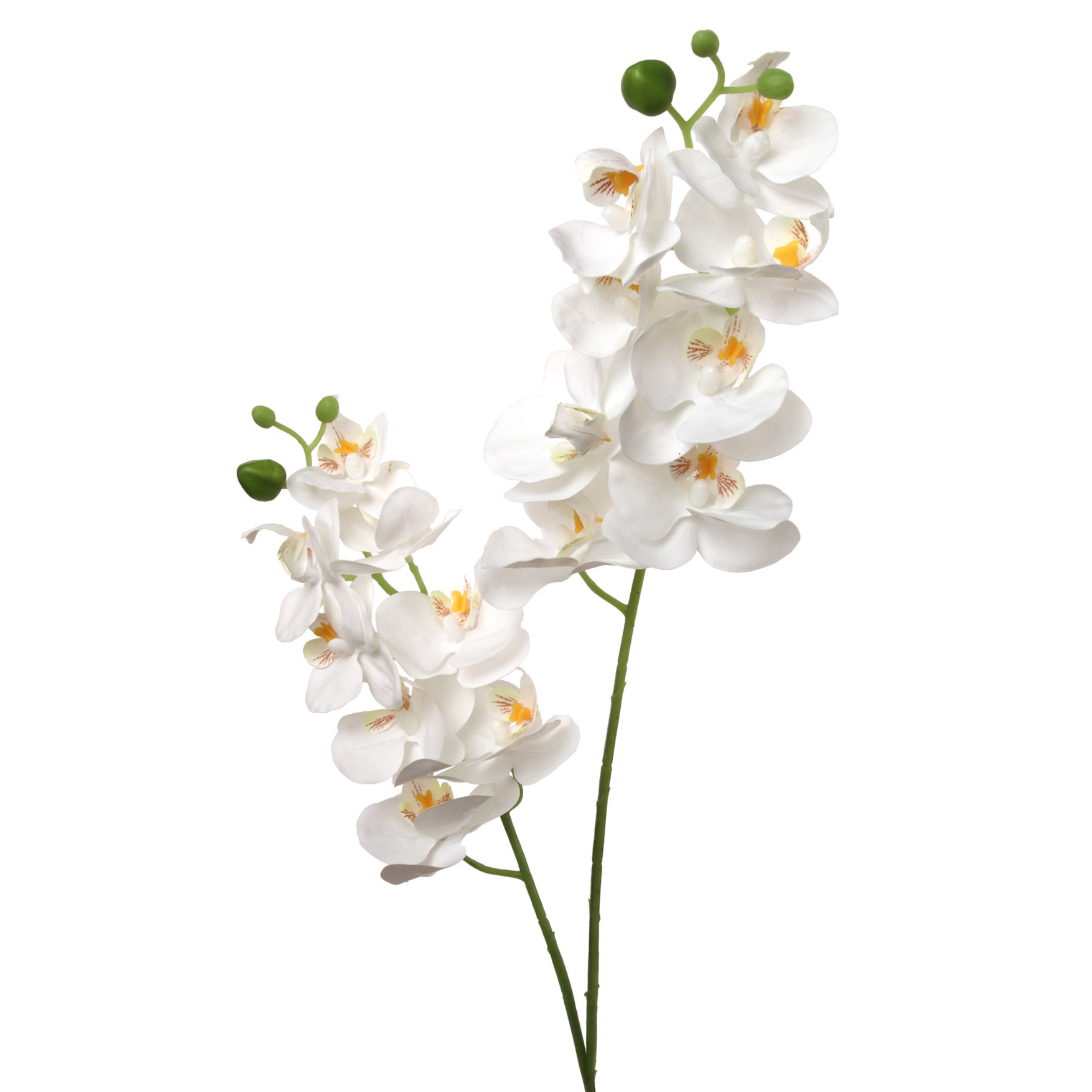22" Phalaenopsis Orchid Spray X2 w/ 16 Silk Flowers - Larksilk