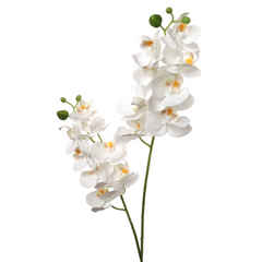 22" Phalaenopsis Orchid Spray X2 w/ 16 Silk Flowers - Larksilk