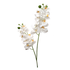 22" Phalaenopsis Orchid Spray X2 w/ 16 Silk Flowers - Larksilk