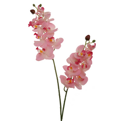 22" Phalaenopsis Orchid Spray X2 w/ 16 Silk Flowers