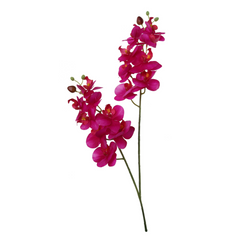 22" Phalaenopsis Orchid Spray X2 w/ 16 Silk Flowers