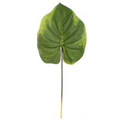 33" Real Touch Alocasia Leaf Stem - Larksilk