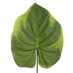 33" Real Touch Alocasia Leaf Stem - Larksilk