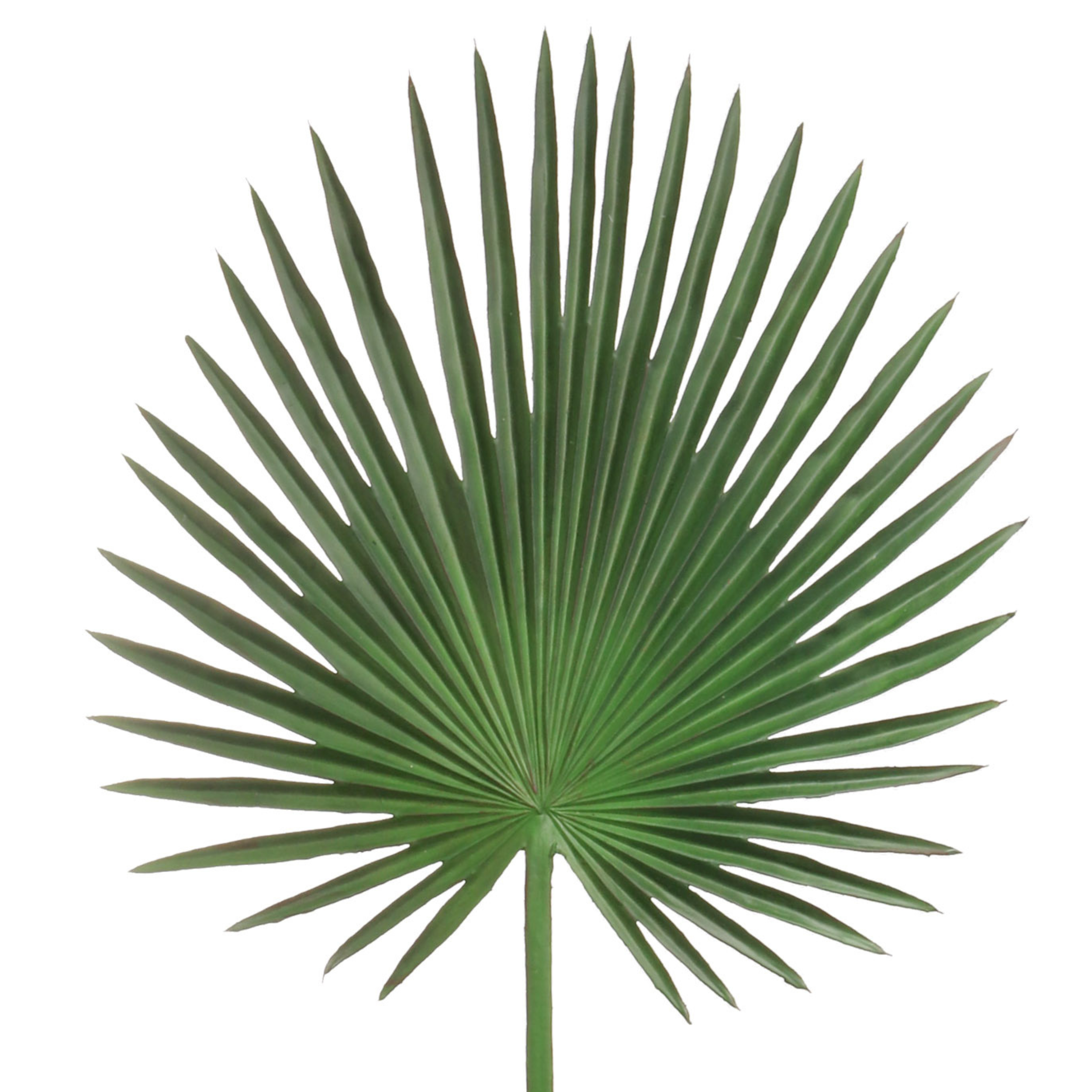 33" Fan Palm Leaf Stem - Larksilk