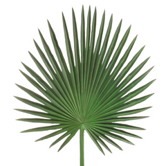 33" Fan Palm Leaf Stem - Larksilk