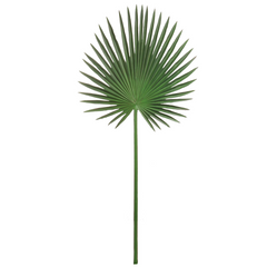 33" Fan Palm Leaf Stem - Larksilk