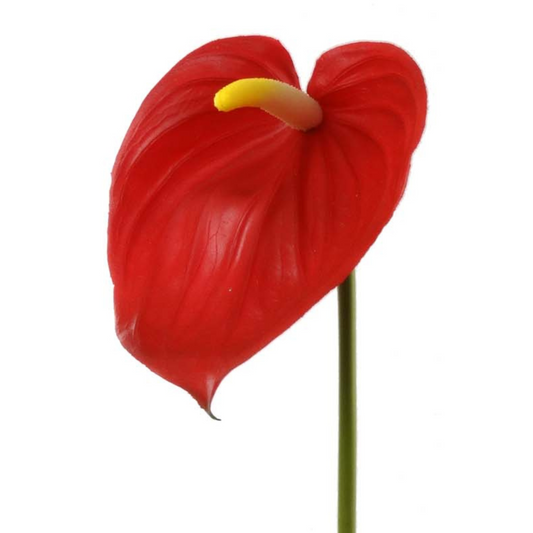 29" Anthurium - Larksilk