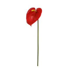 29" Anthurium - Larksilk