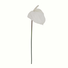 29" Anthurium - Larksilk