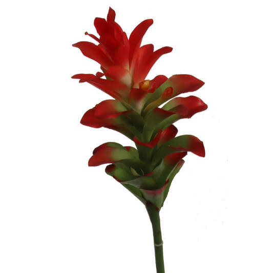 31" Ginger Stem - Larksilk