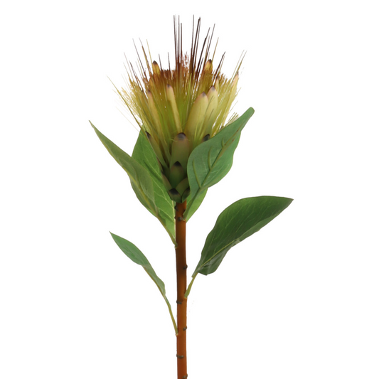 30" Royal Protea Spray - Larksilk