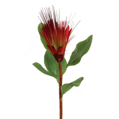 30" Royal Protea Spray - Larksilk