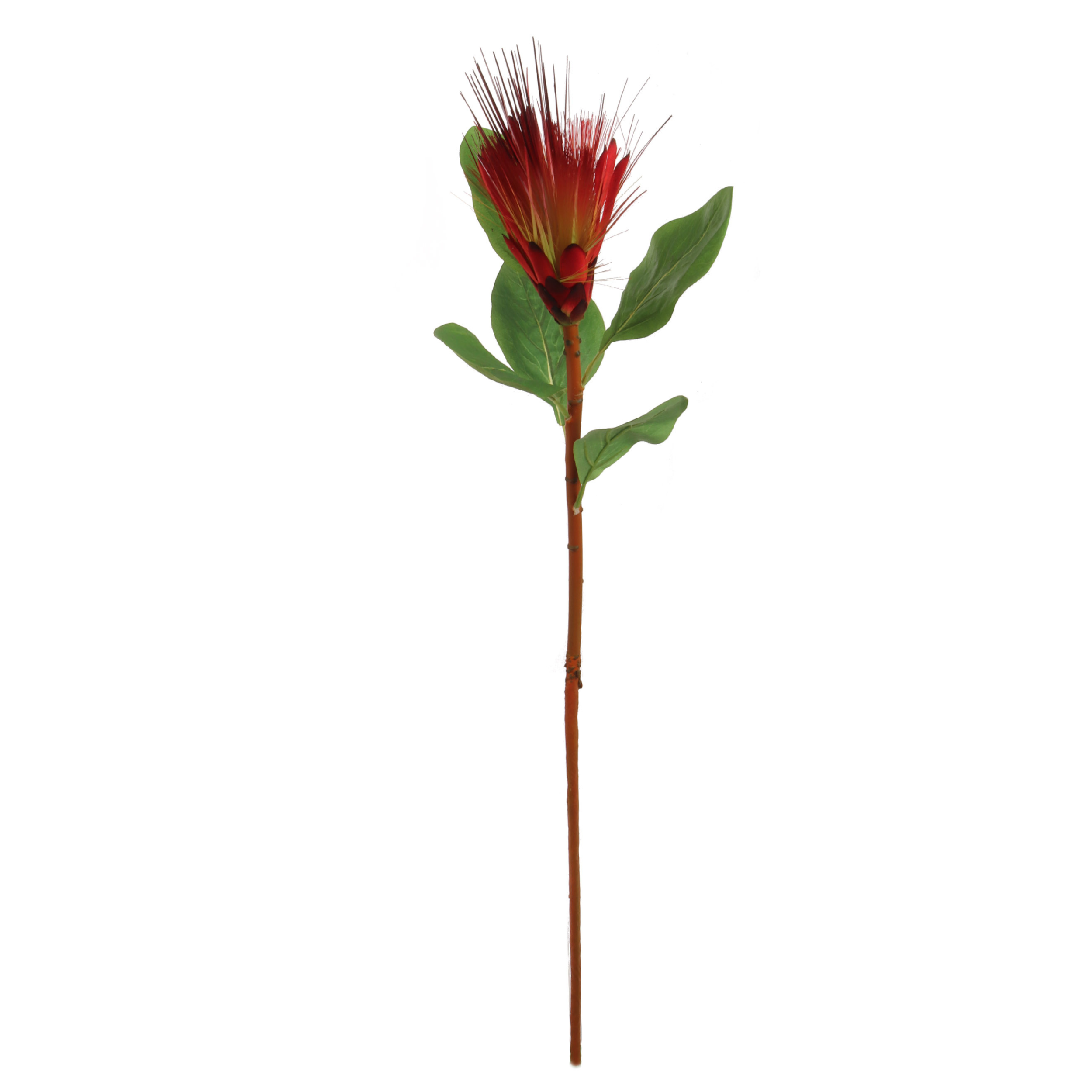 30" Royal Protea Spray - Larksilk