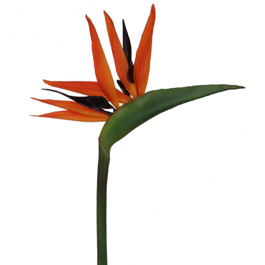 33" Bird of Paradise Spray - Larksilk