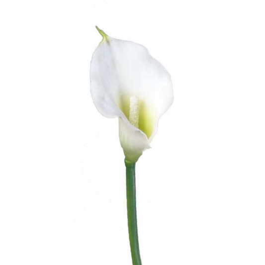 18" Real Touch Calla Lily Stem - Larksilk