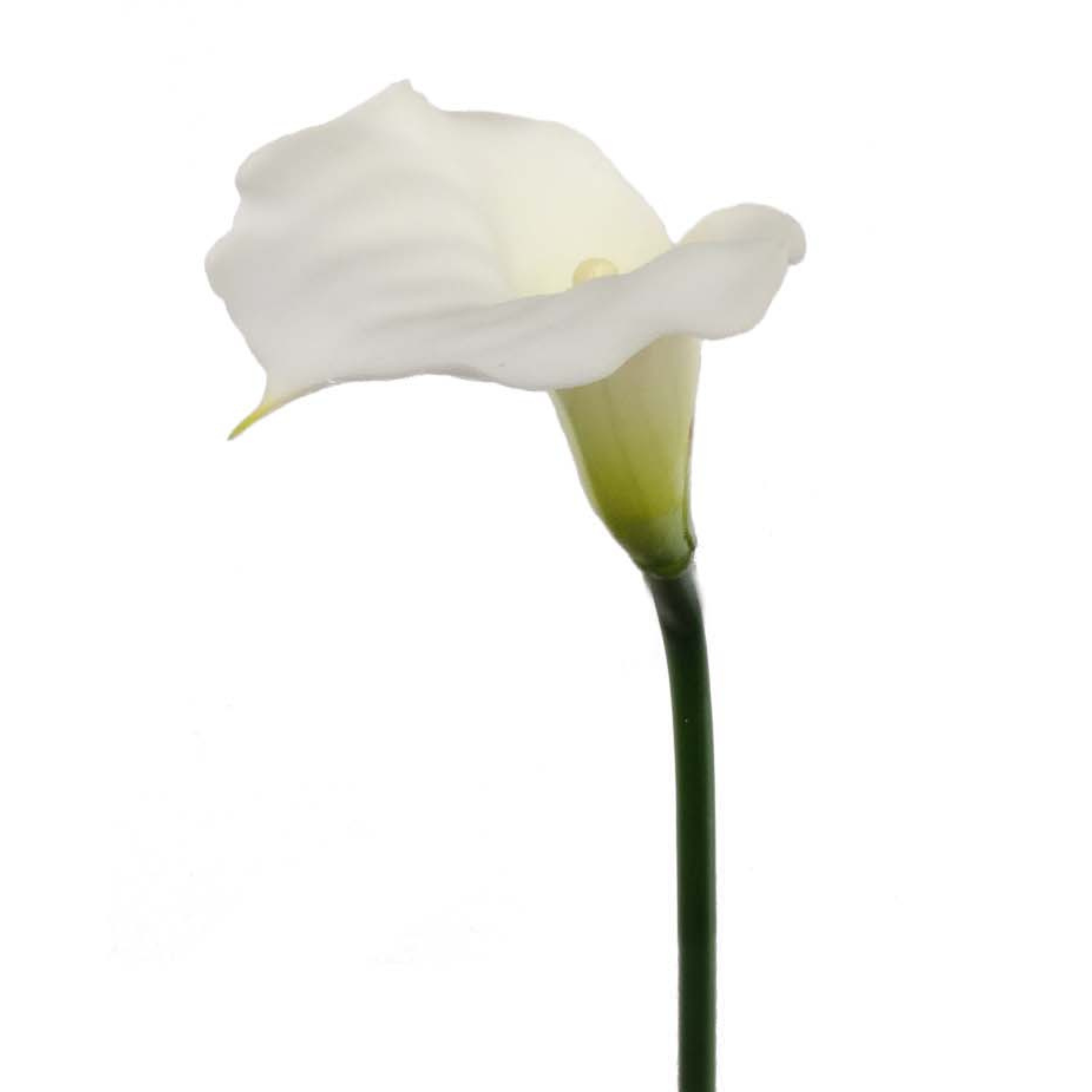 21" Real Touch Calla Lily Stem - Larksilk