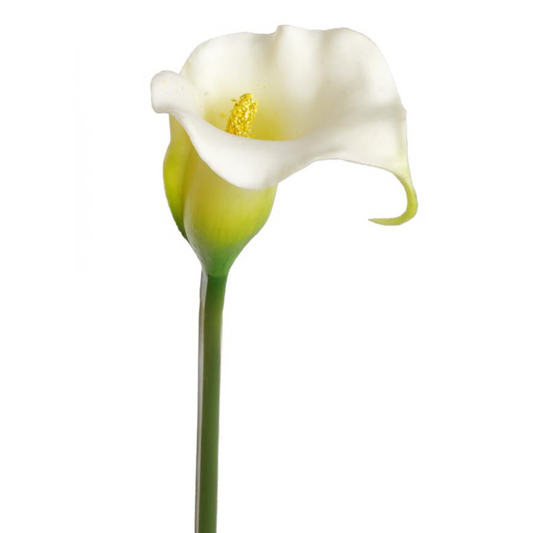 27" Real Touch Calla Lily Stem - Larksilk