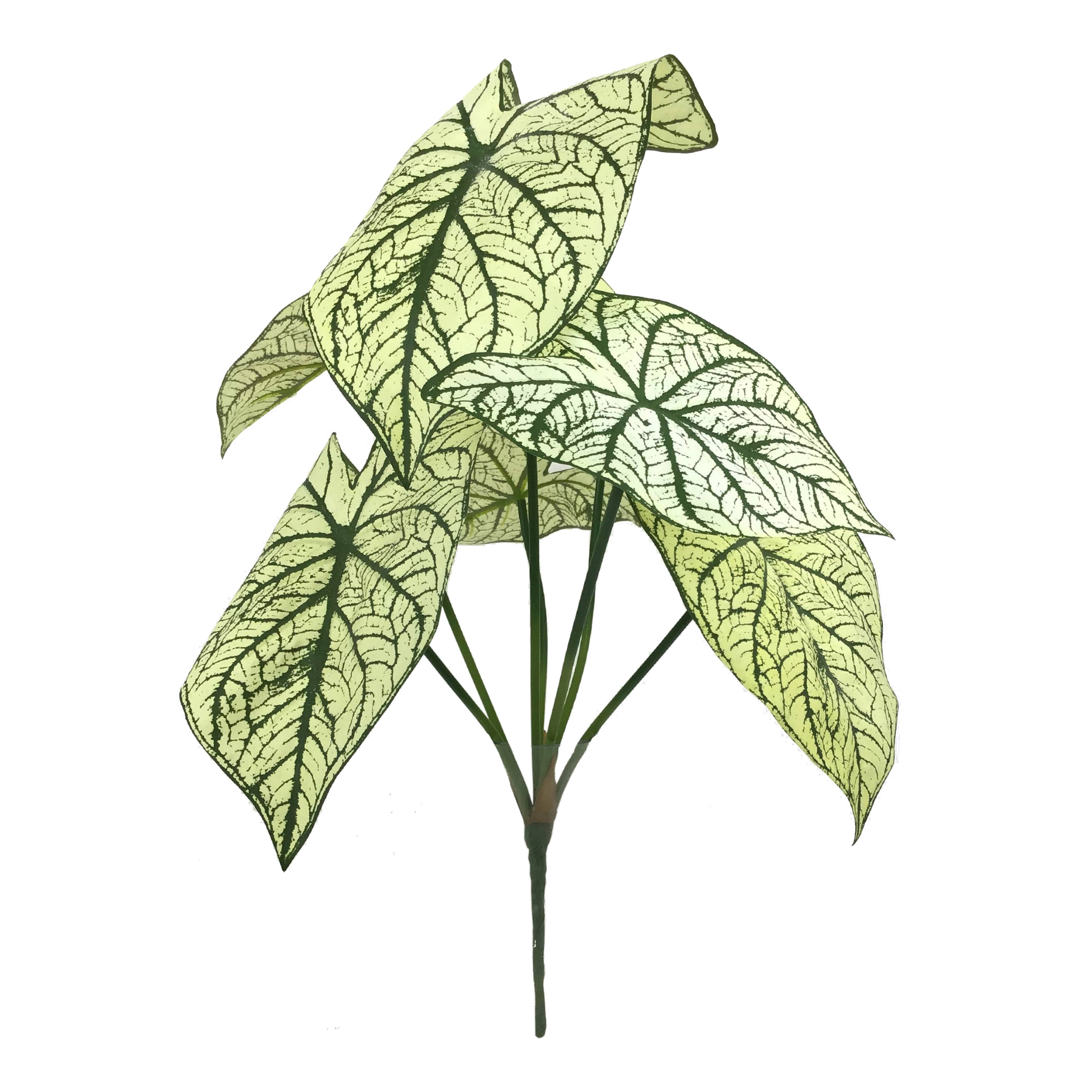 23" Caladium Leaf Bush -2025 Spring Collection - Larksilk
