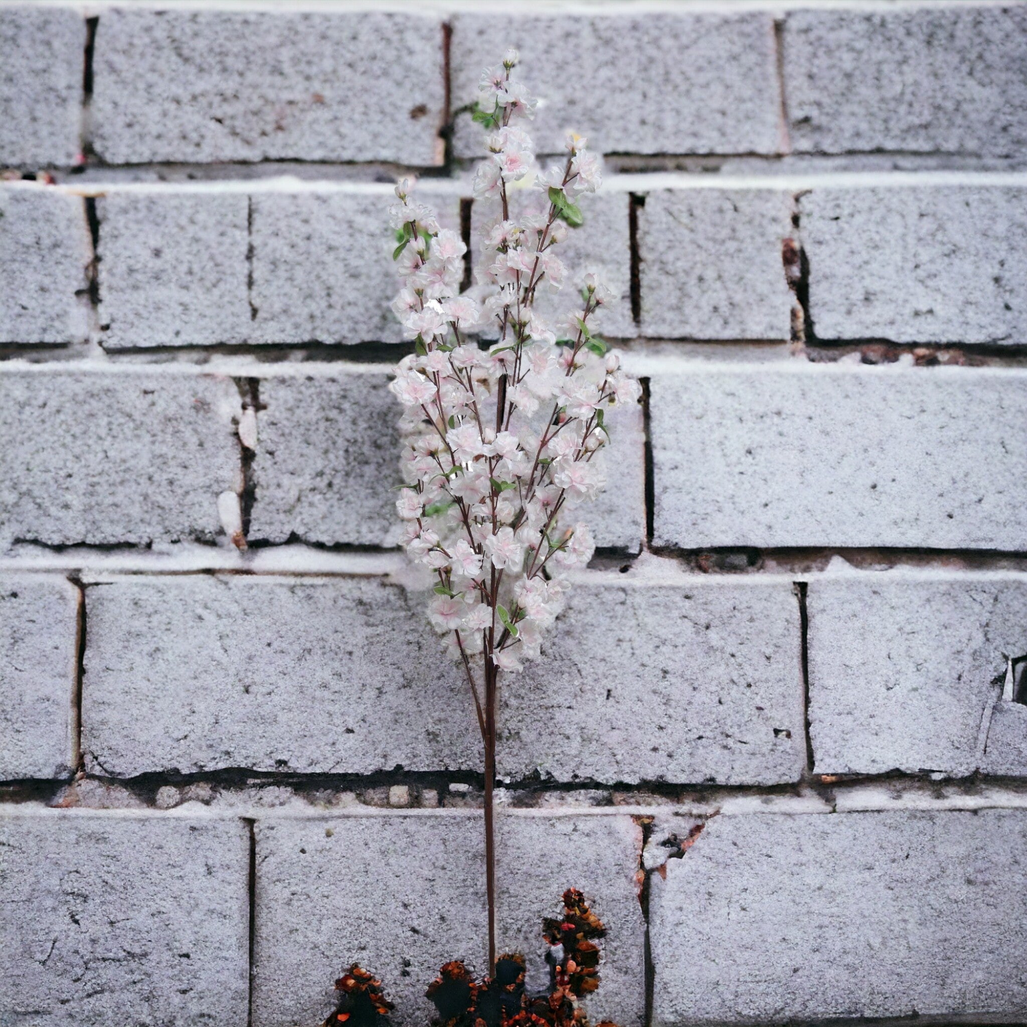 Cherry Blossom Branch Spray - 52" - Larksilk