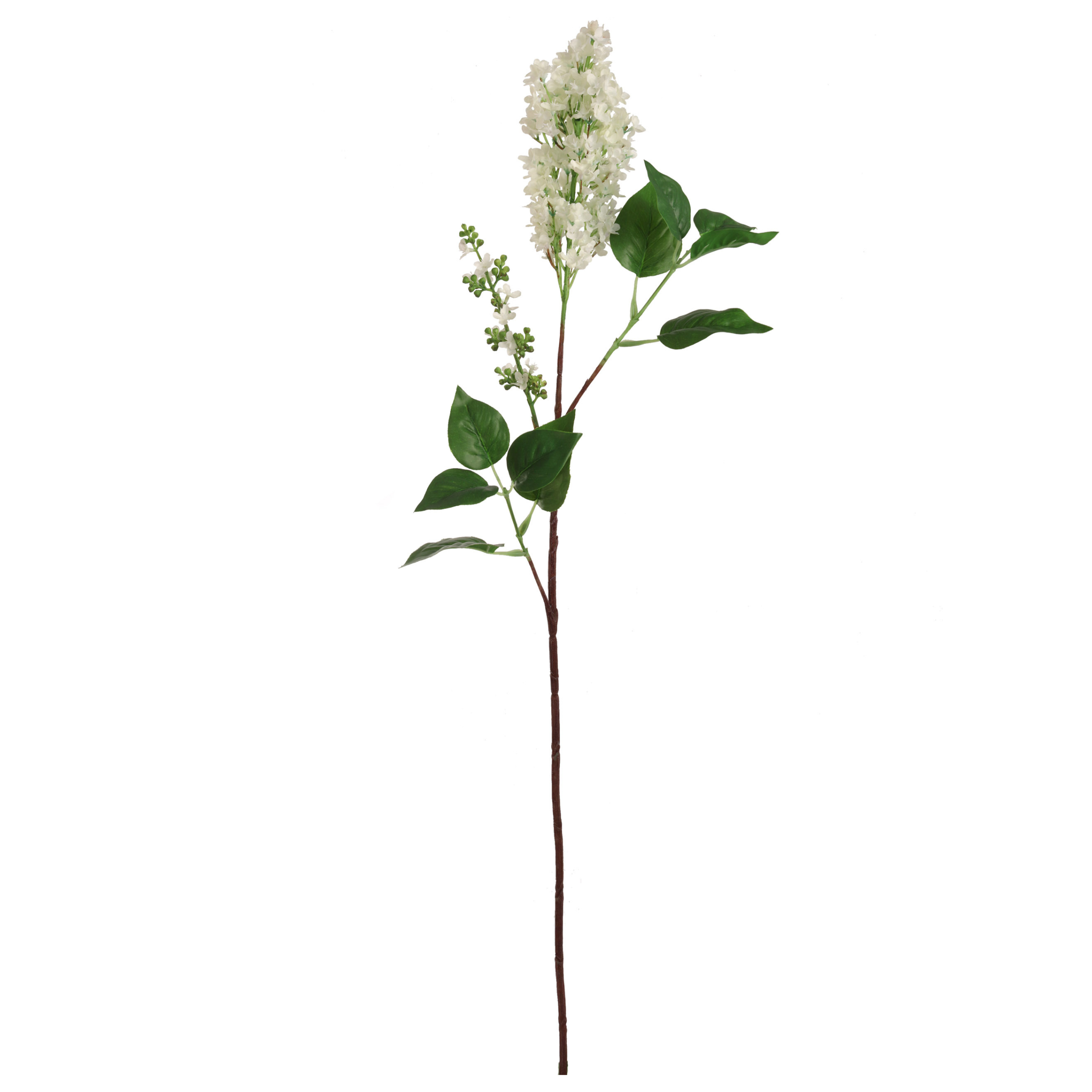 37" Lilac Stem - Larksilk