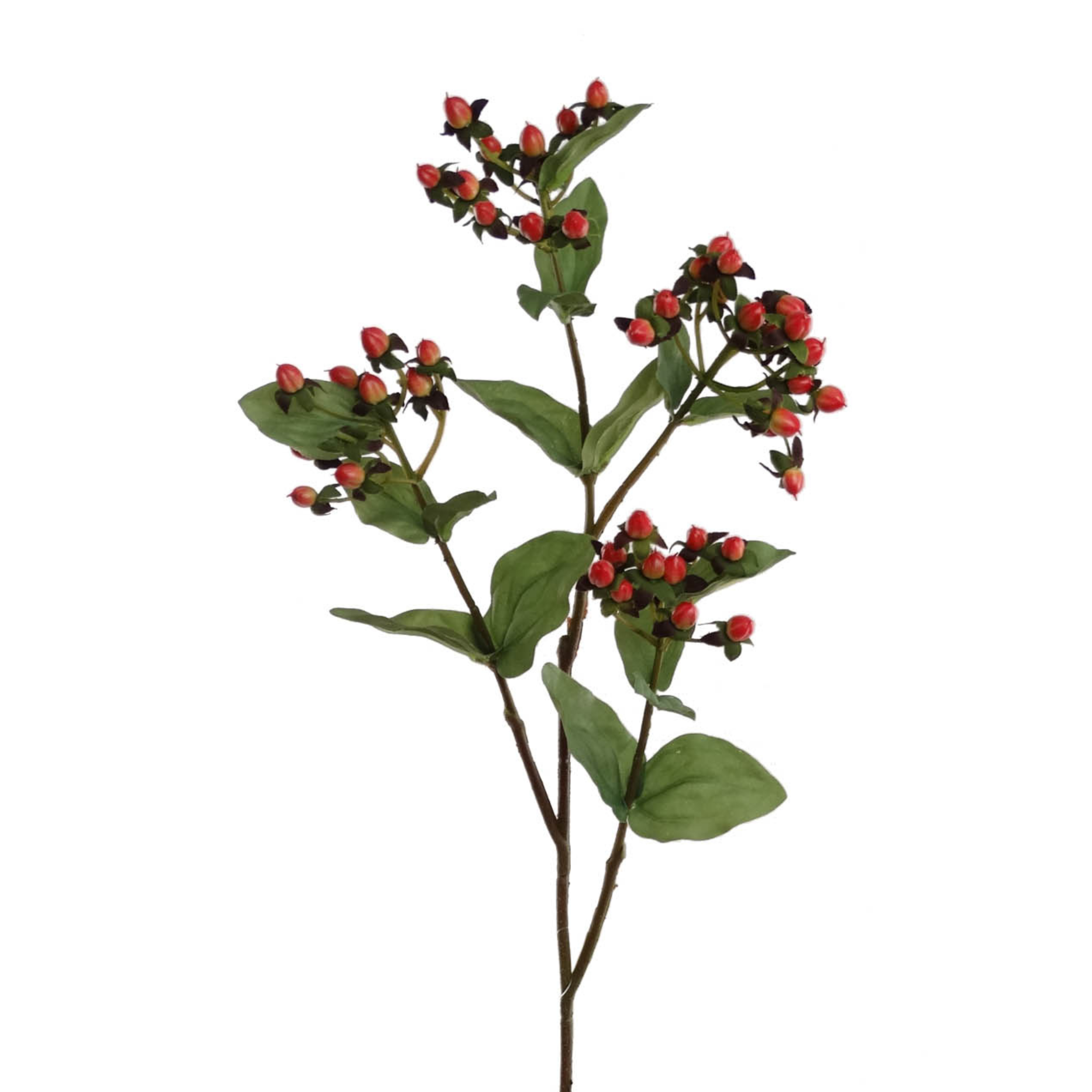 32" Hypericum Spray - Larksilk