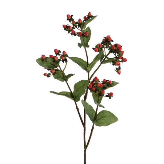 32" Hypericum Spray - Larksilk