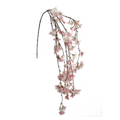 Hanging Cherry Blossom Branch Spray - 60" - Larksilk