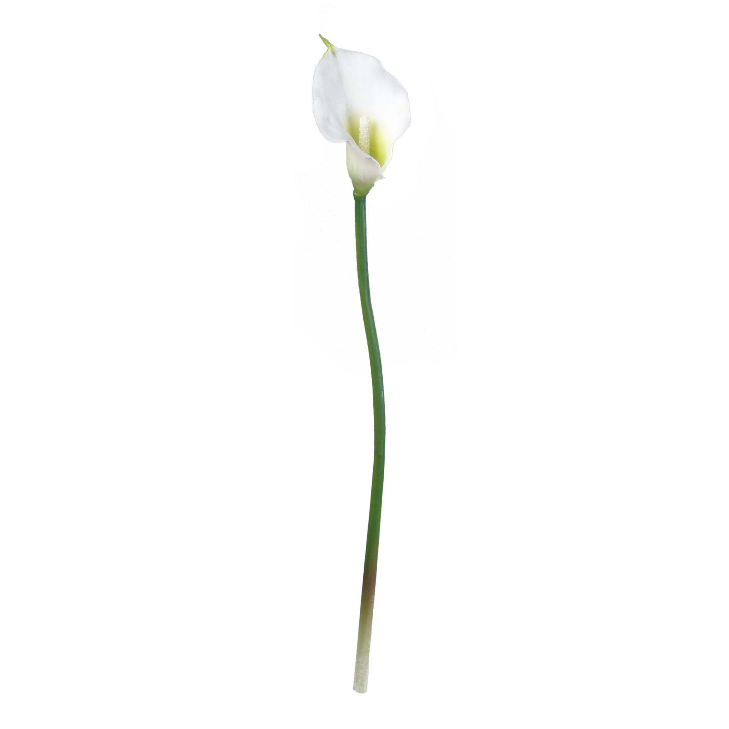 18" Real Touch Calla Lily Stem - Larksilk