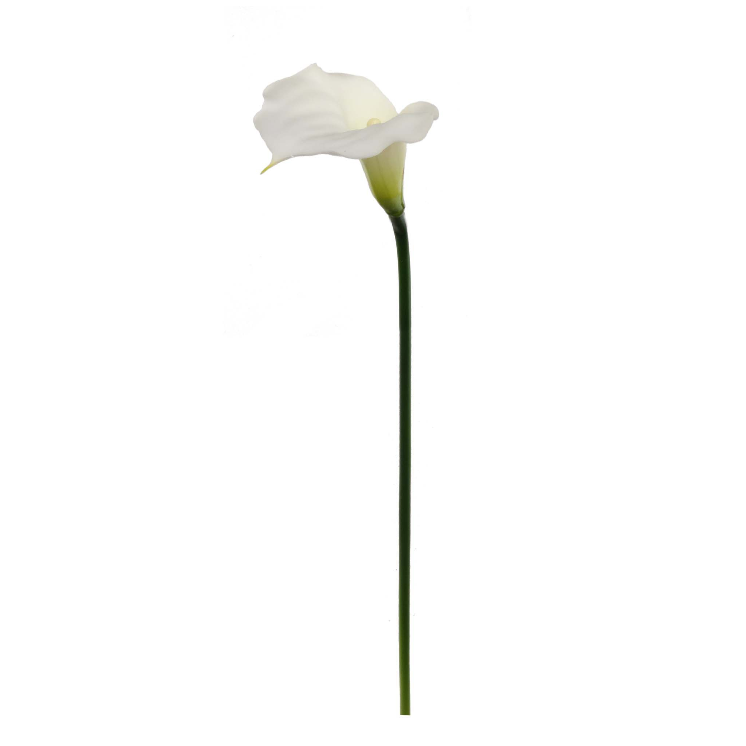 21" Real Touch Calla Lily Stem - Larksilk