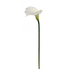 21" Real Touch Calla Lily Stem