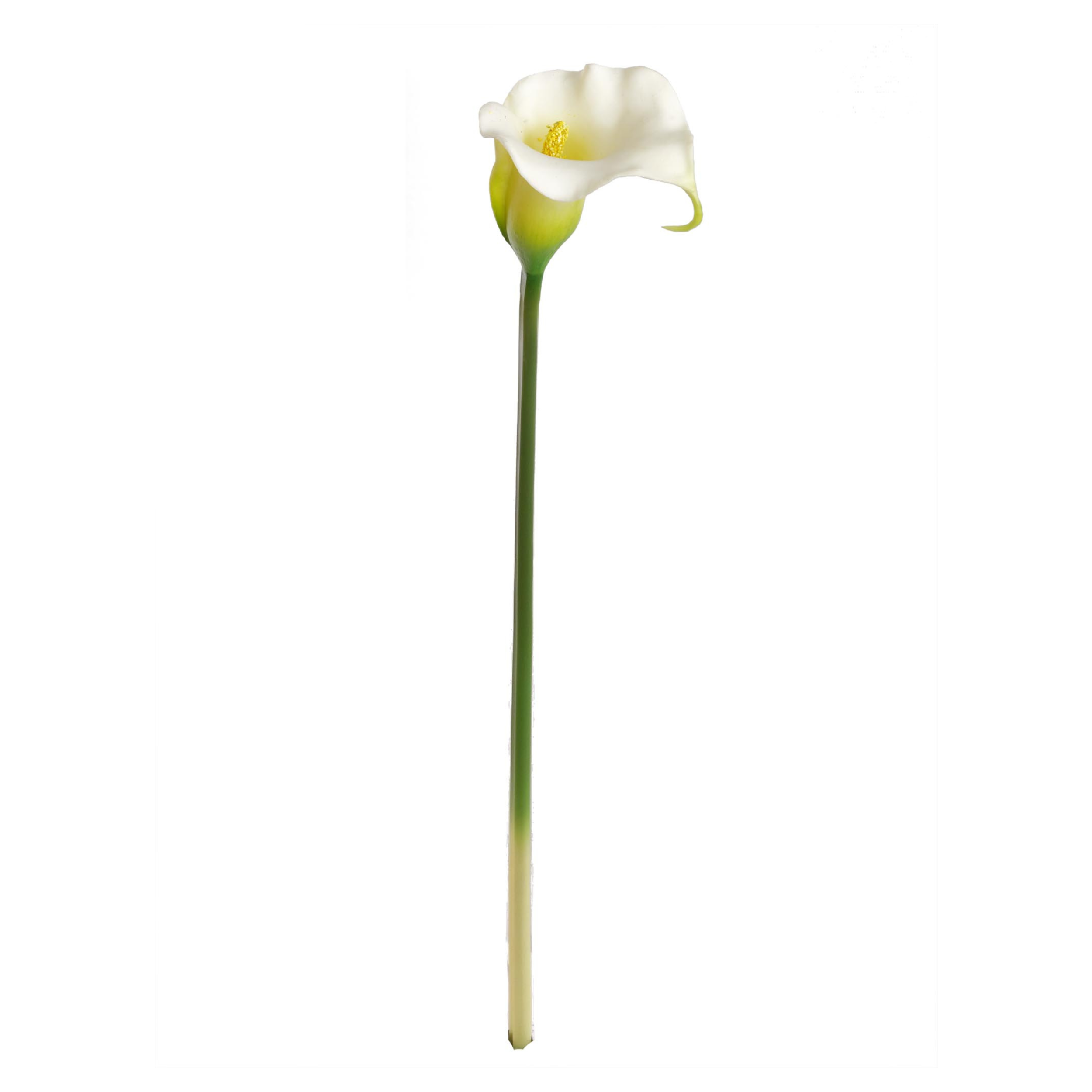 27" Real Touch Calla Lily Stem - Larksilk