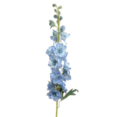 36.5" Delphinium Stem - Larksilk