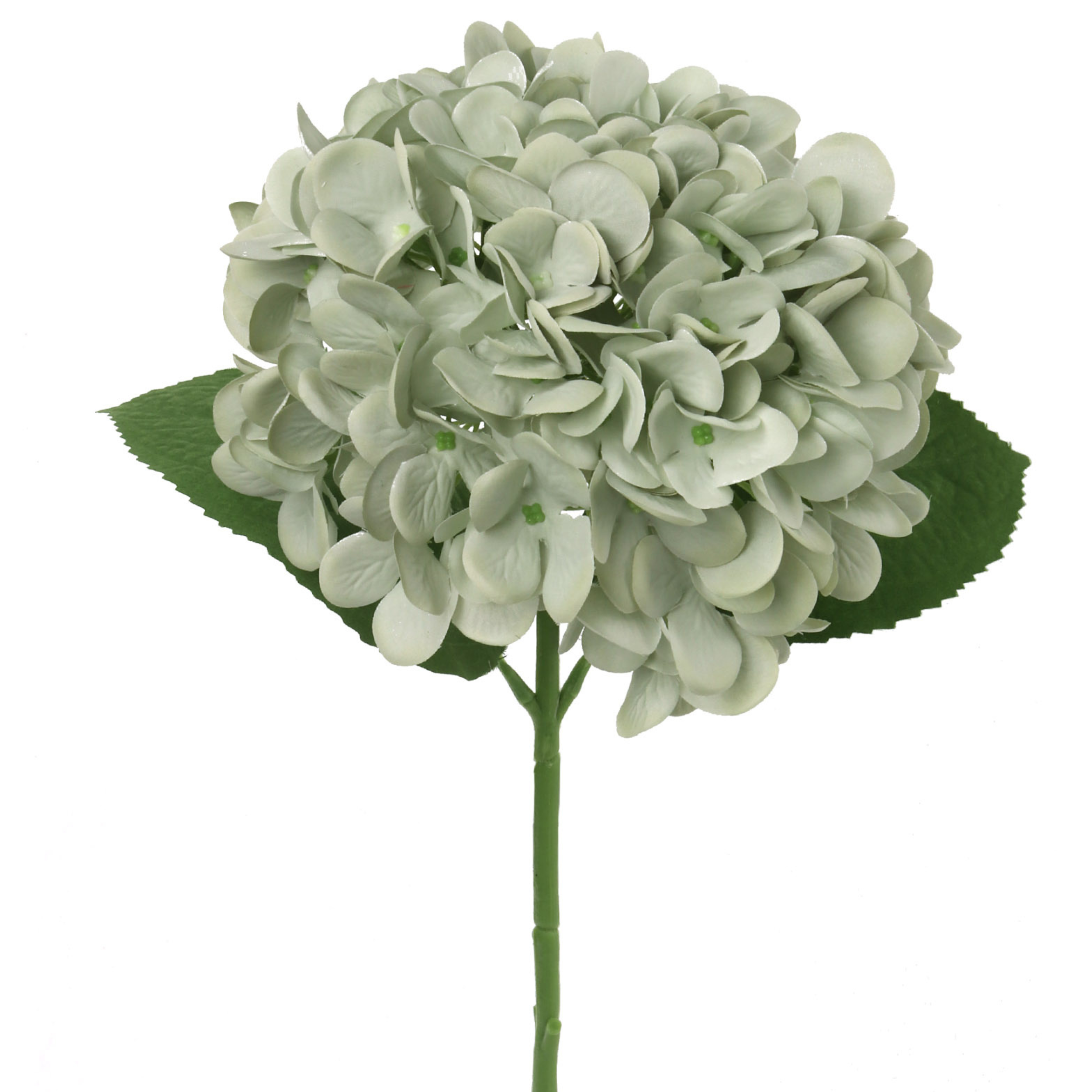 18" Hydrangea Stem - 2025 Spring Collection - Larksilk