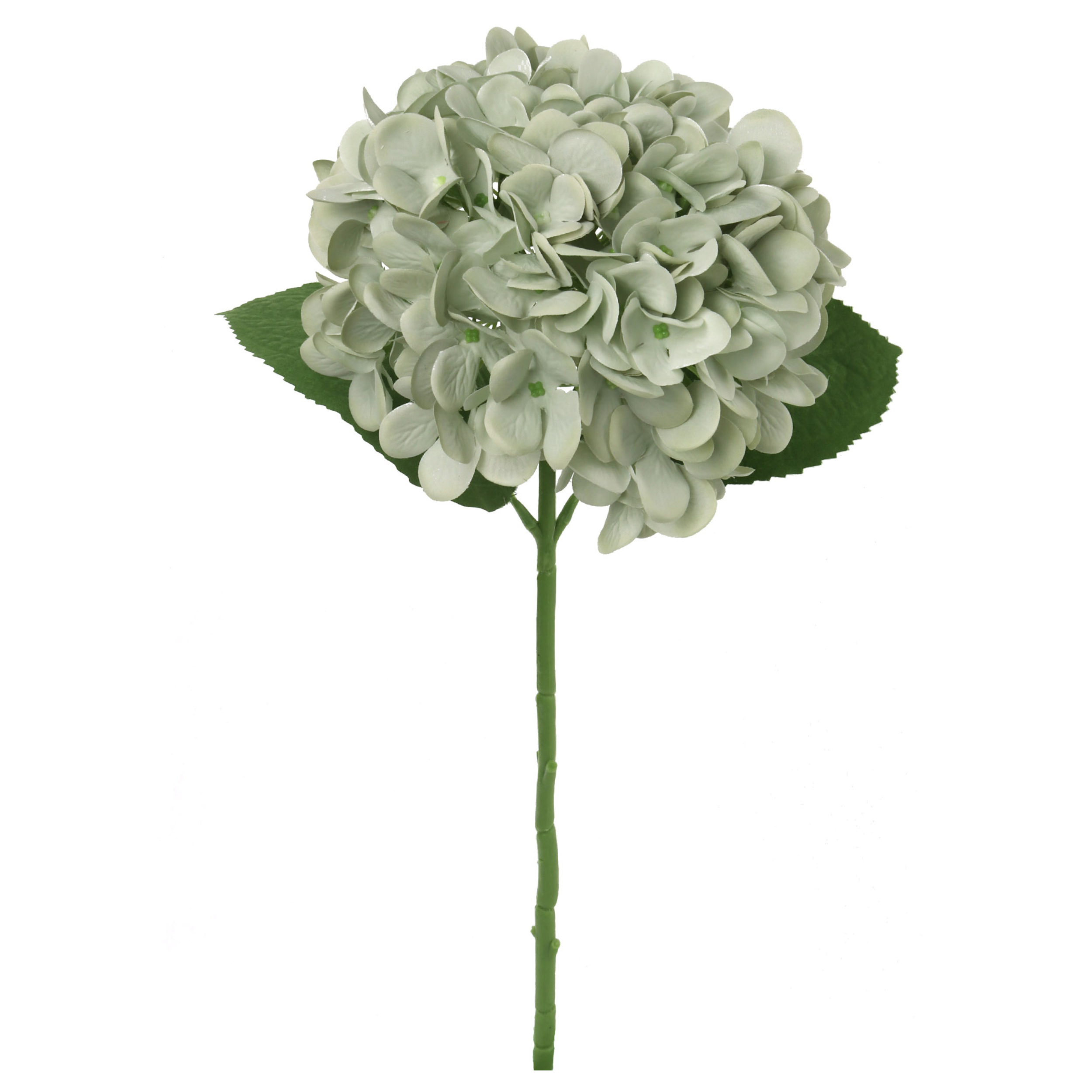 18" Hydrangea Stem - 2025 Spring Collection - Larksilk