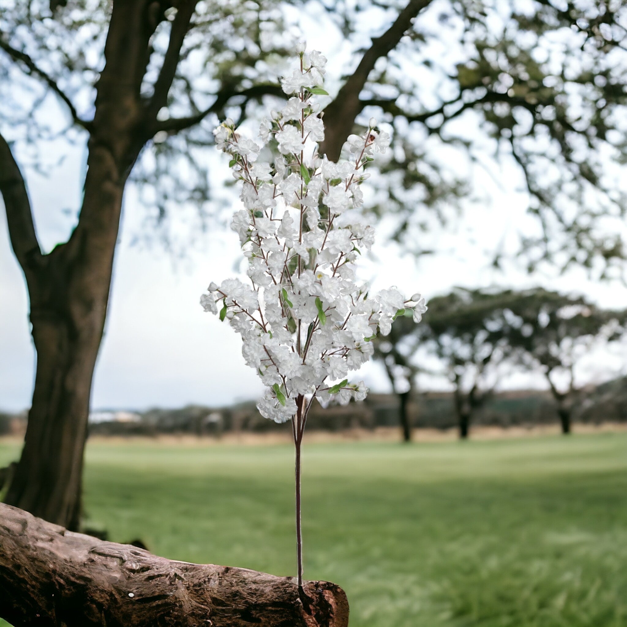 Cherry Blossom Branch Spray - 52" - Larksilk