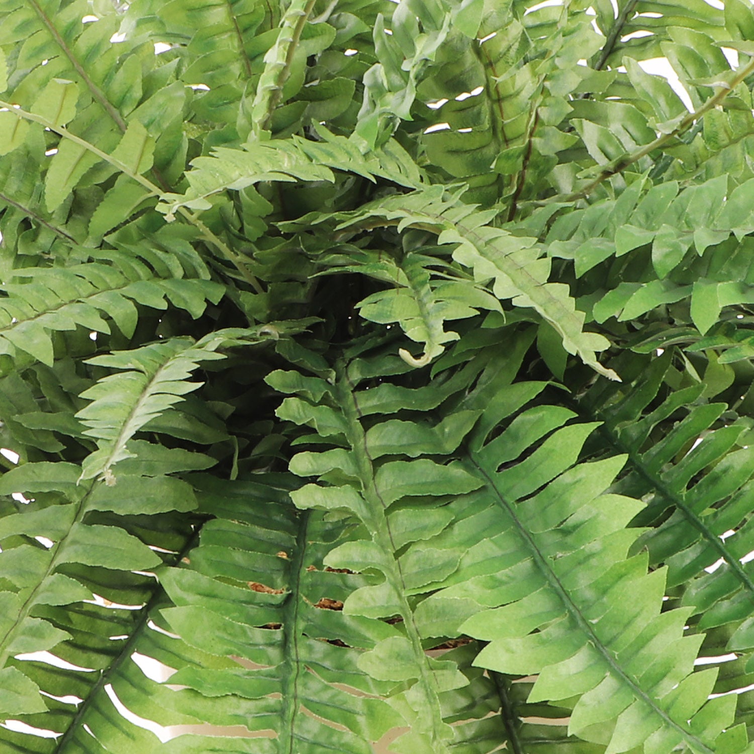 Boston Fern Plant w/ 35 Silk Fronds - 34" Wide - Larksilk