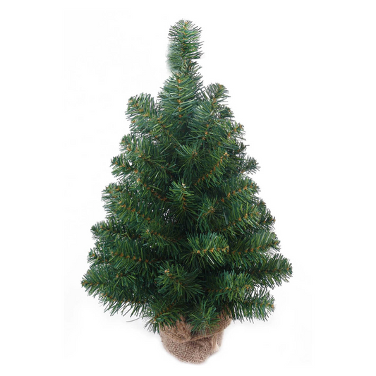 24" Northern Spruce Tree in Burlap - 81 Green Tips