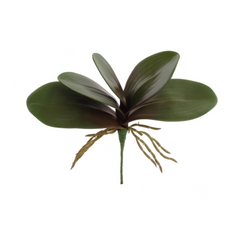 11" Phalaenopsis Leaf Cluster - Larksilk