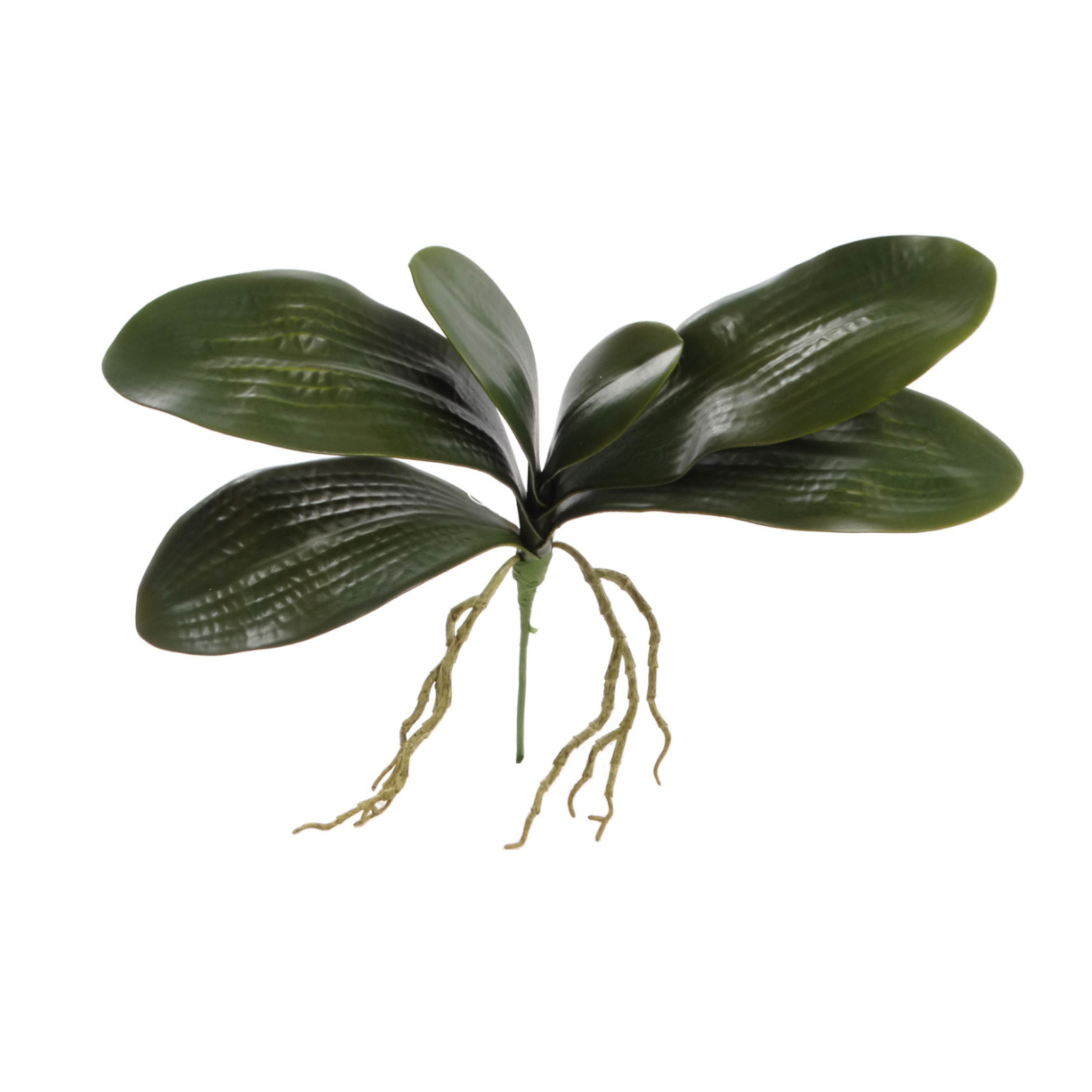 16" Phalaenopsis Leaf Cluster - Larksilk