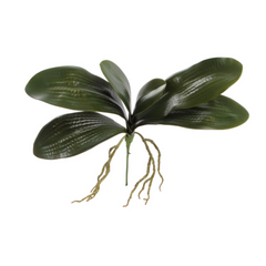 16" Phalaenopsis Leaf Cluster - Larksilk