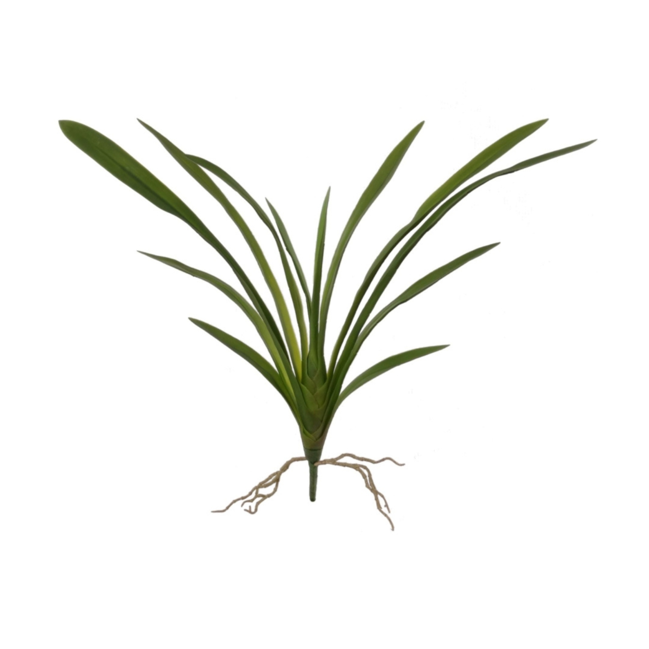 26" Cymbidium Leaf Cluster - Larksilk