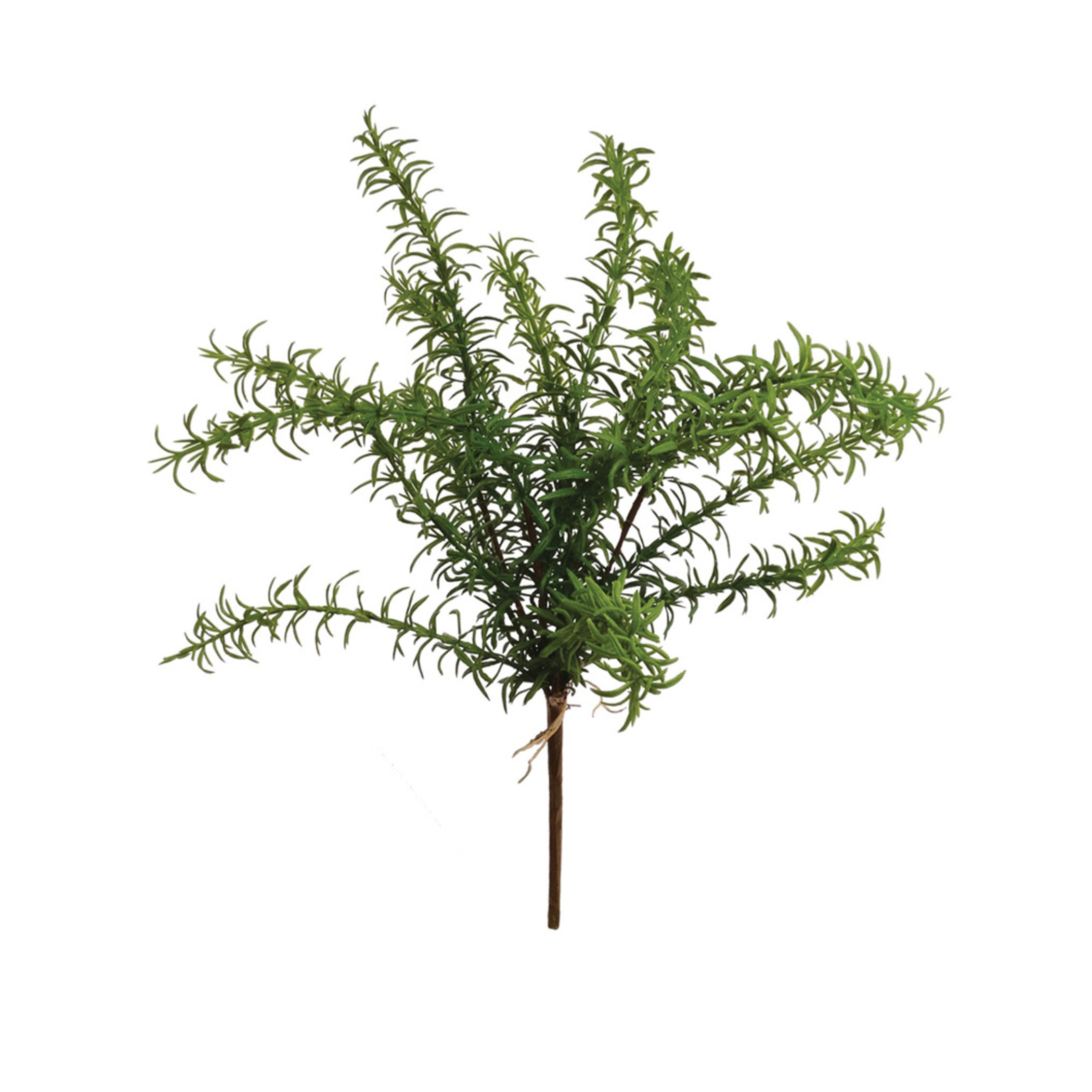 17" Rosemary Bush - Larksilk