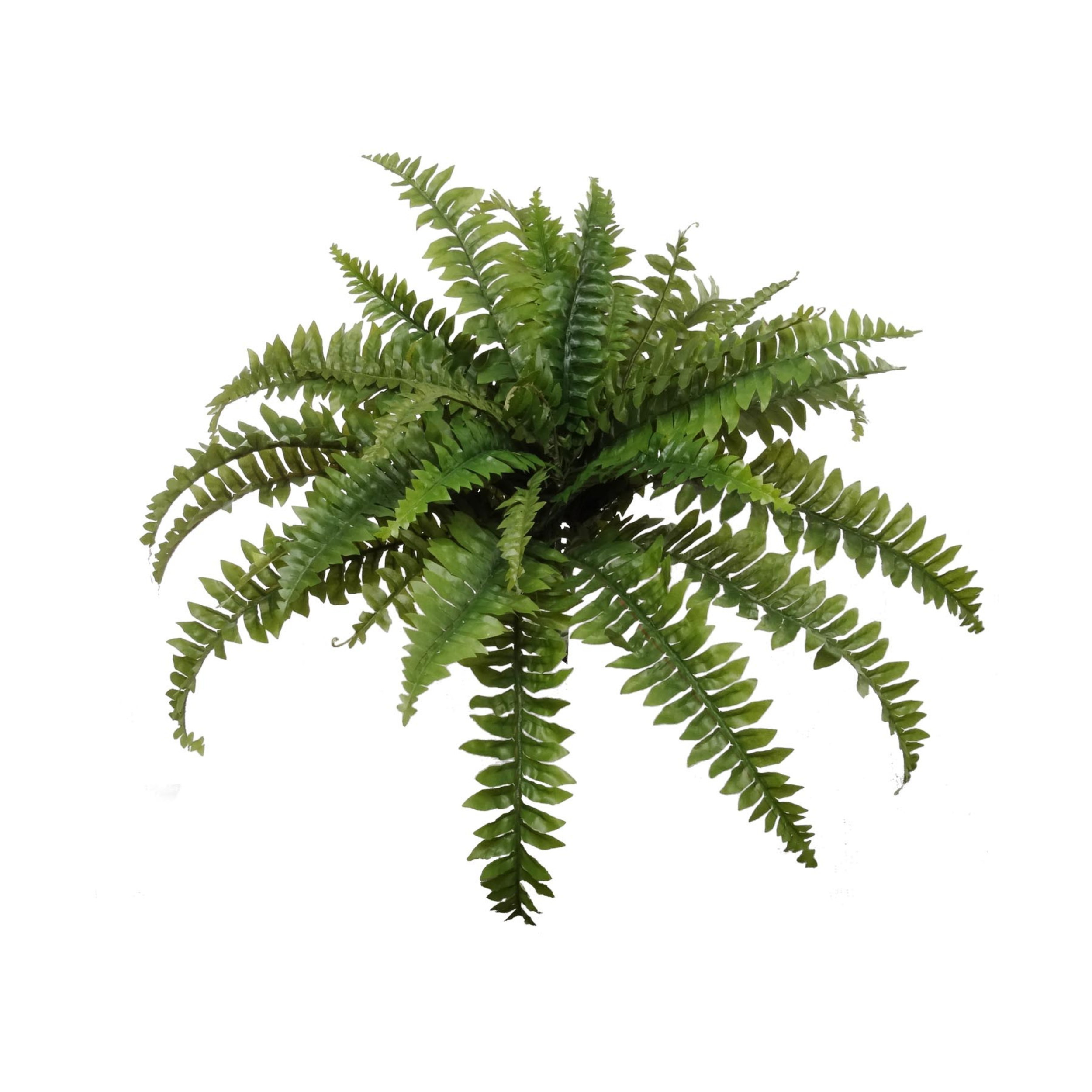 Boston Fern Plant w/ 35 Silk Fronds - 34" Wide - Larksilk