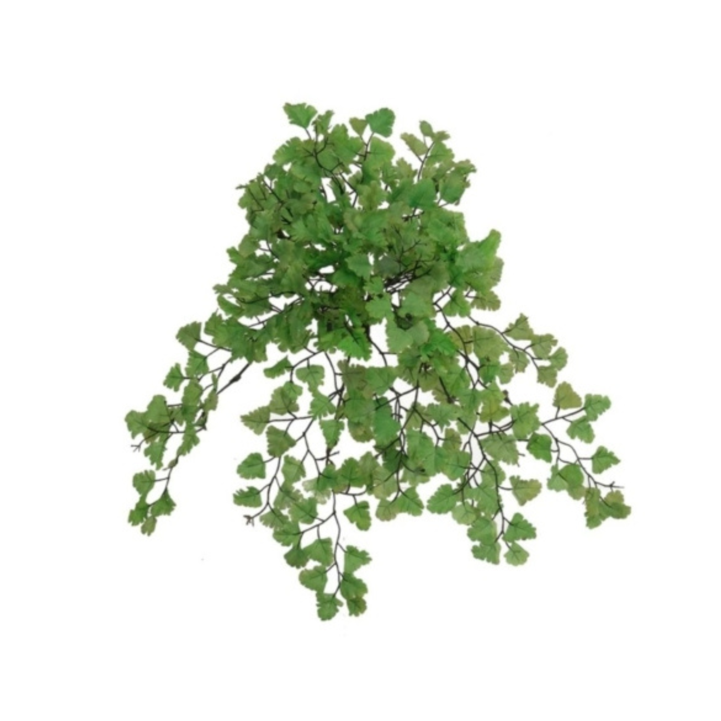 Maidenhair Fern Plant W/ 23 Silk Fronds - 23" Wide - Larksilk