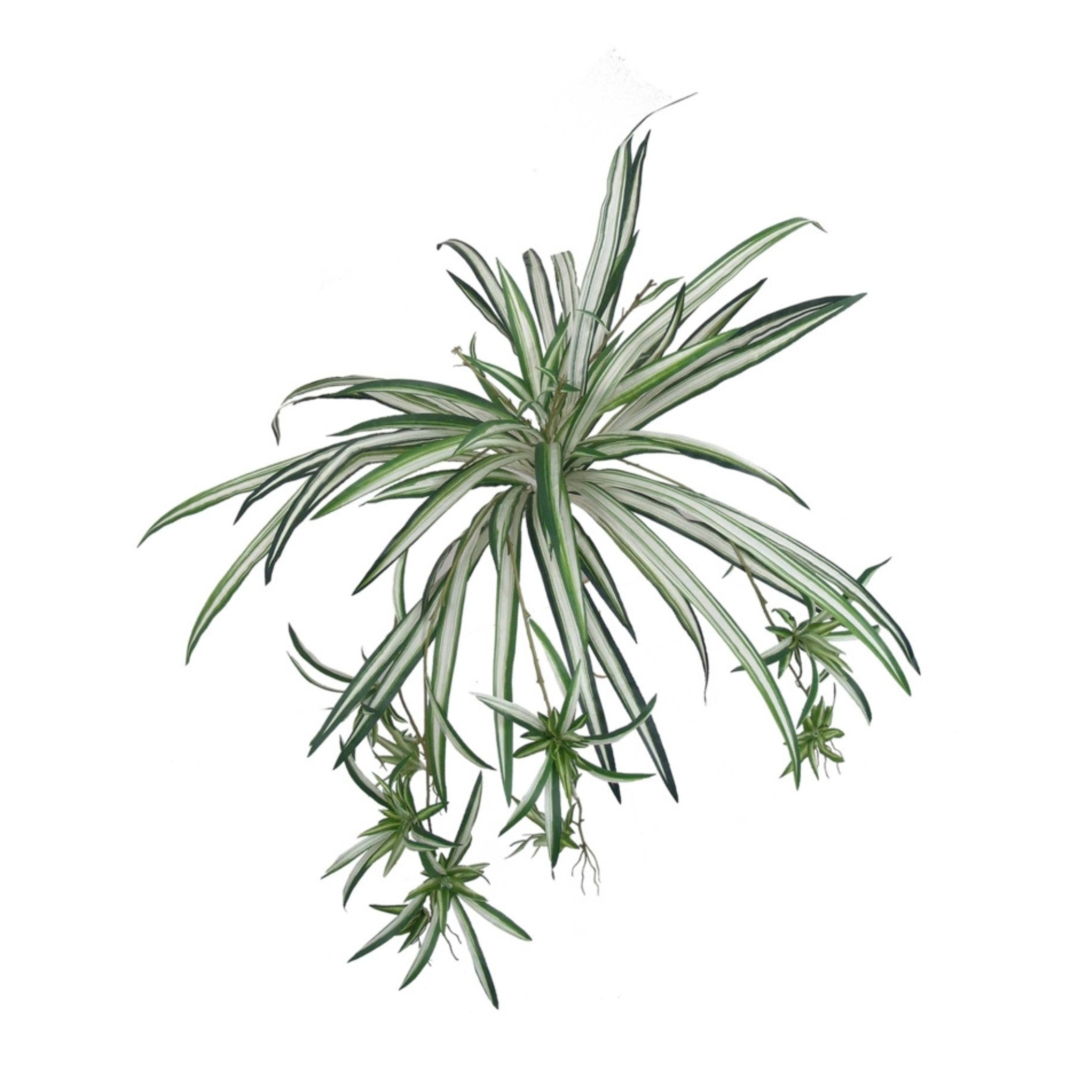 Spider Fern Plant w/ 60 Silk Fronds - 32" Wide - Larksilk