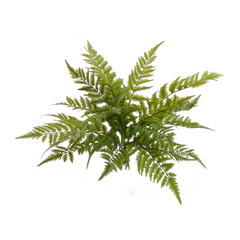 28" Boston Fern Bush - Larksilk