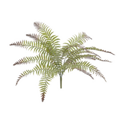20" Frost River Fern Plant - Larksilk