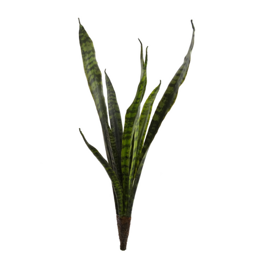 27" Snake Plant Stem - Larksilk