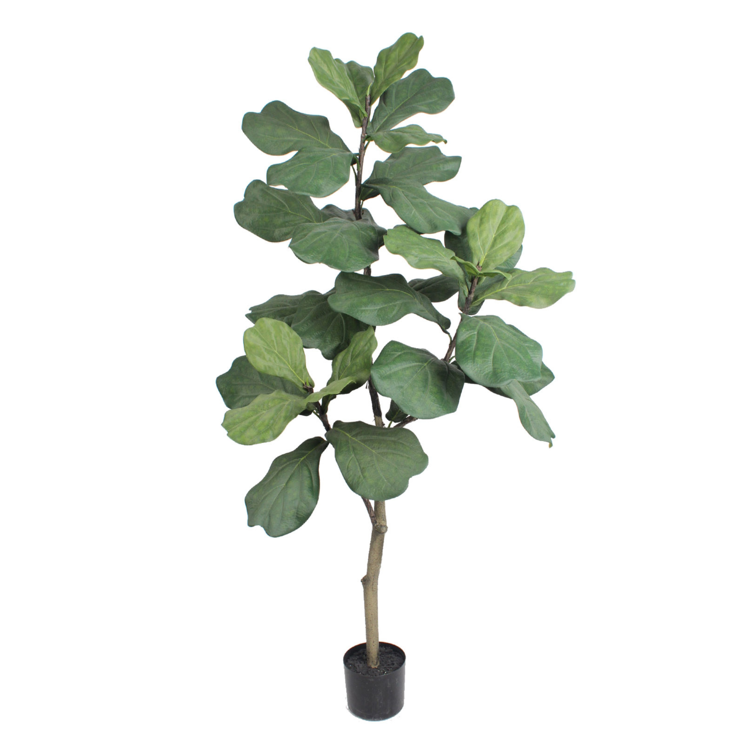 5ft Fiddle Tree in Black Pot w/ 34 Silk Leaves - Larksilk